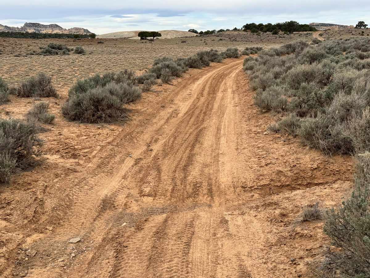 BLM 924 trail photo