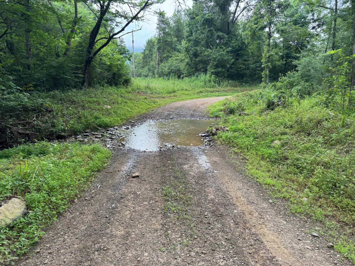 County Road 3161 photo 2