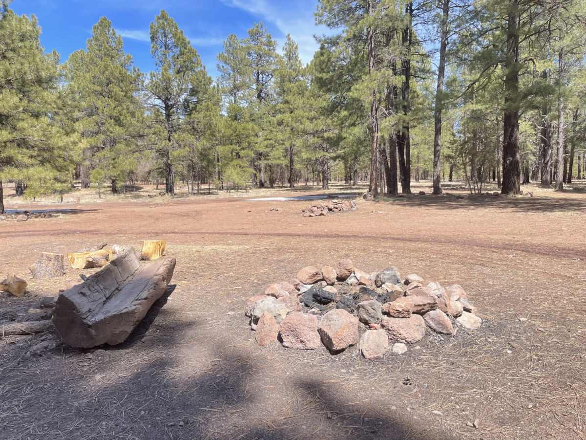 Gobbler Springs Road photo 4