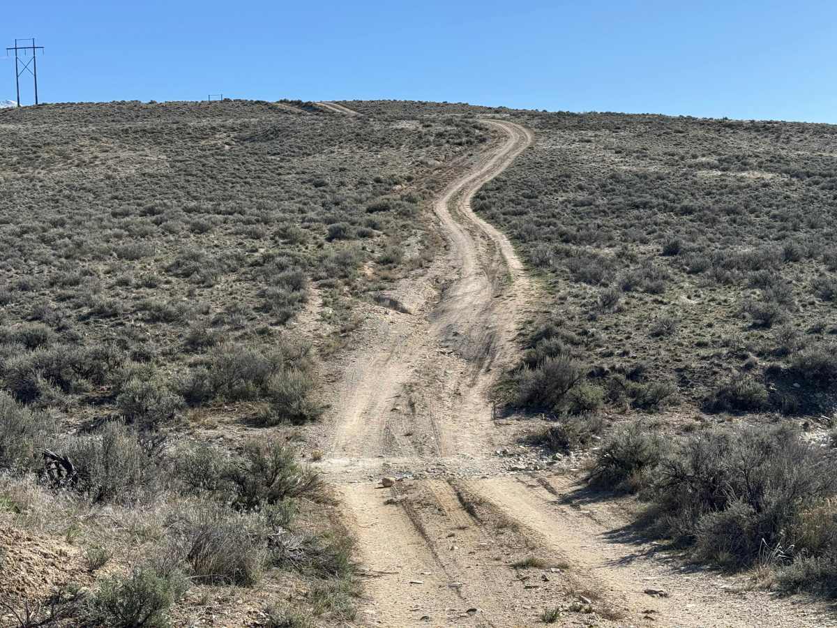 BLM 122 photo 2