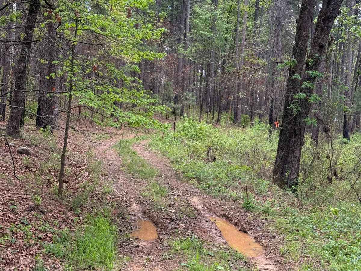 Shortcut Central photo 5