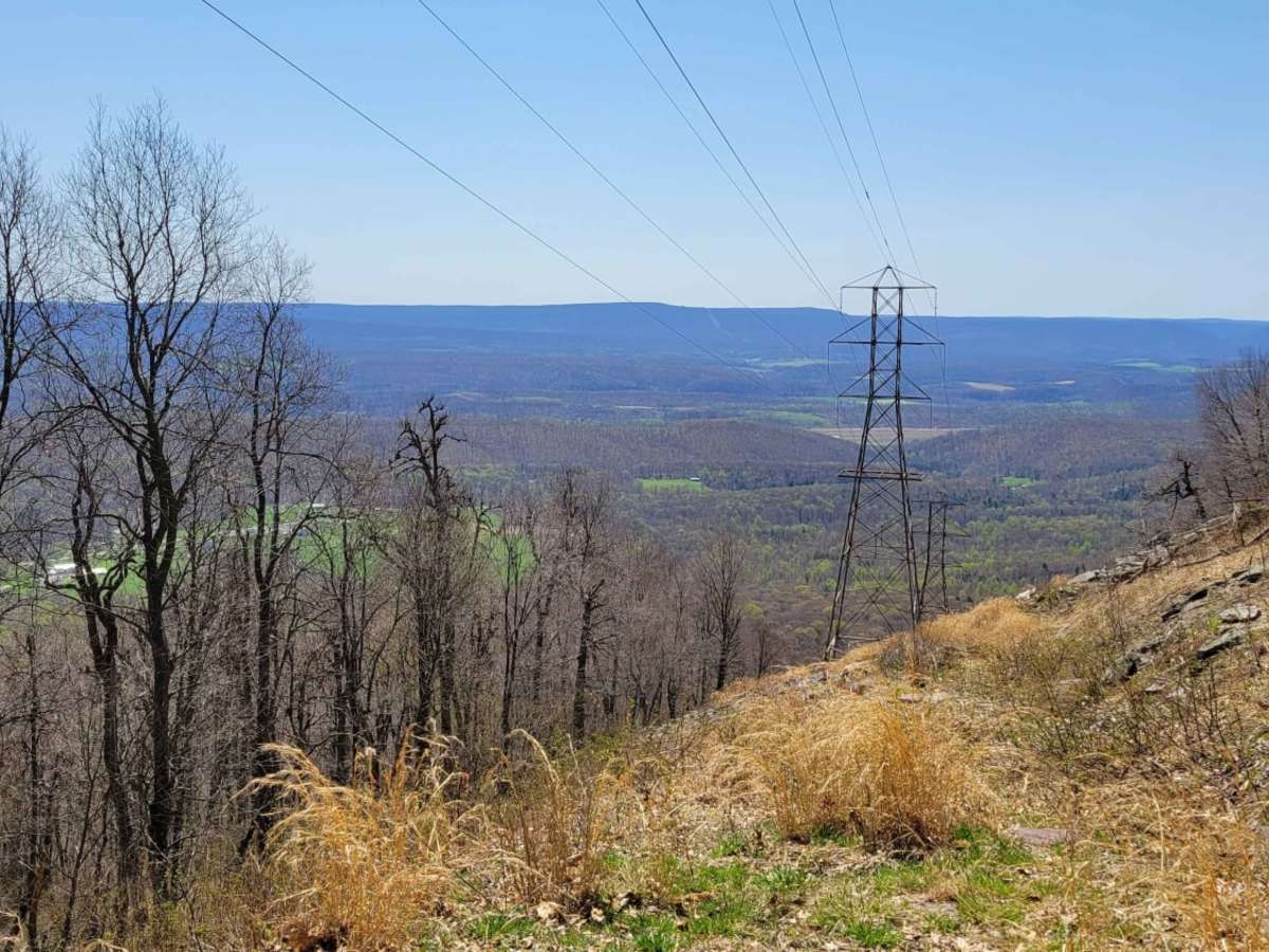 Odonnel Field Trail trail photo