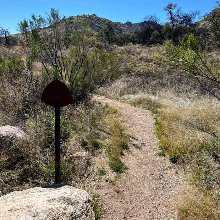 Near Molino Basin Trail #11