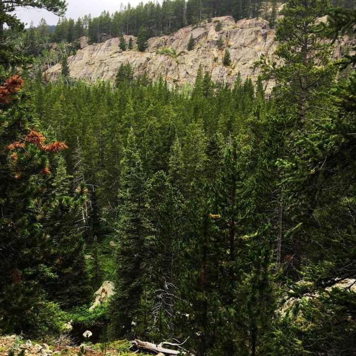 Near Elsa/Spear Lake Loop