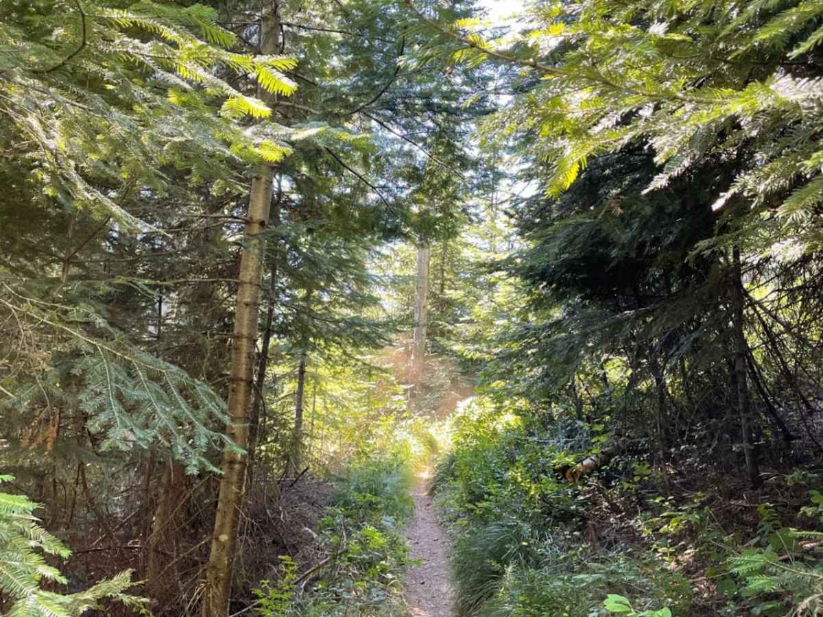 Devil Peak photo 5
