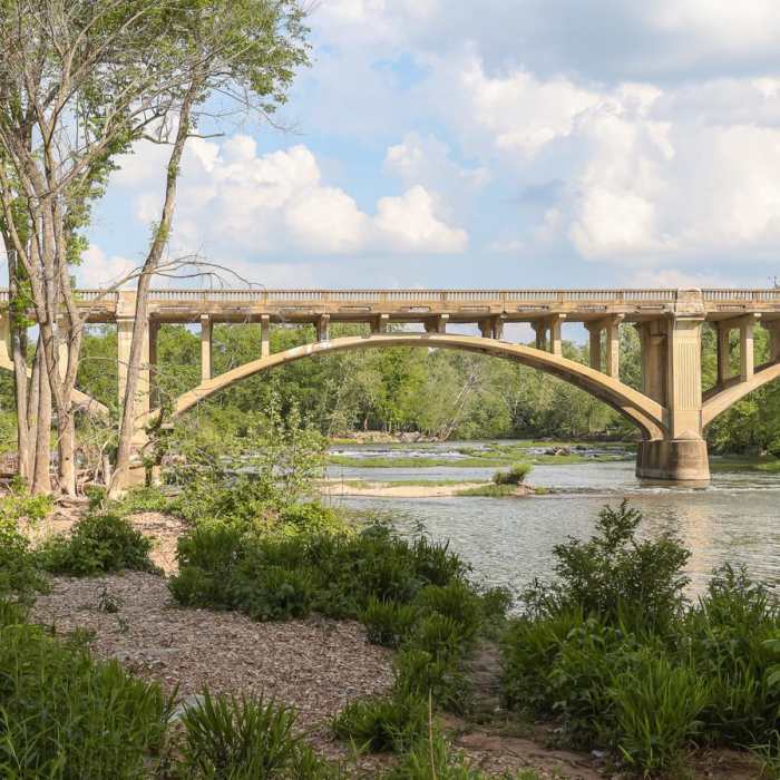 Near St. John's Creek Trail Near St. John's Creek Trail
