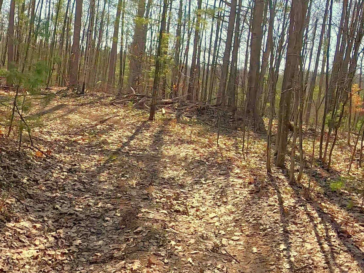 FS 4210 photo 5