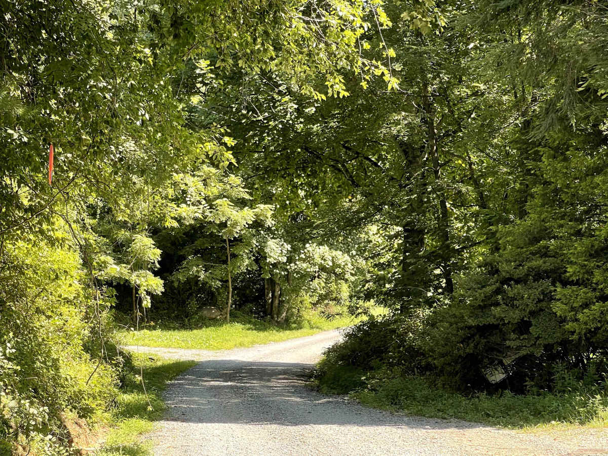 Globe Road trail photo