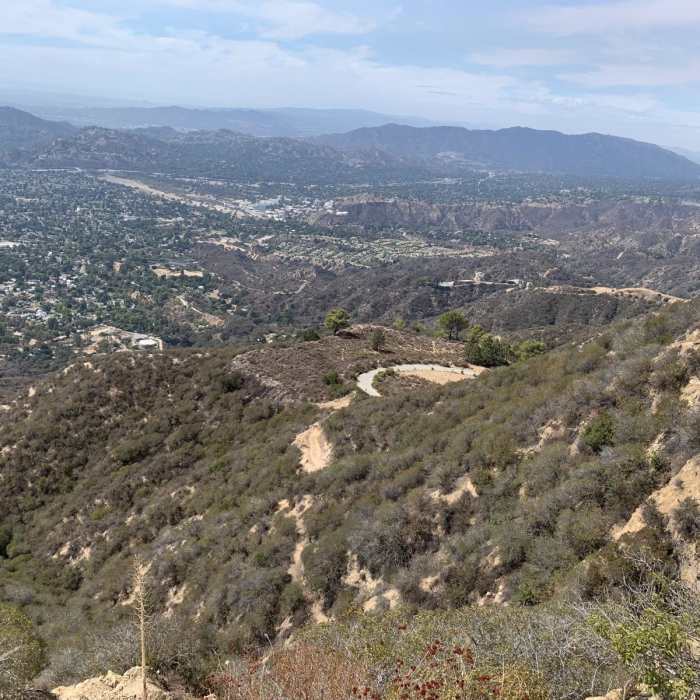 Near Chaney Trail Loop