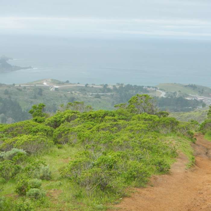 Near Sweeney Ridge Loop