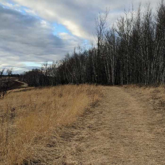 Near Leyden Blueberry Fields