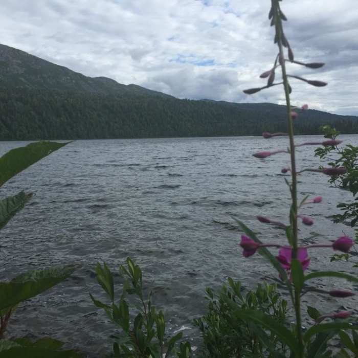 Near Byers Lake - Hike to Beemans Cabin Near Byers Lake - Hike to Beemans Cabin