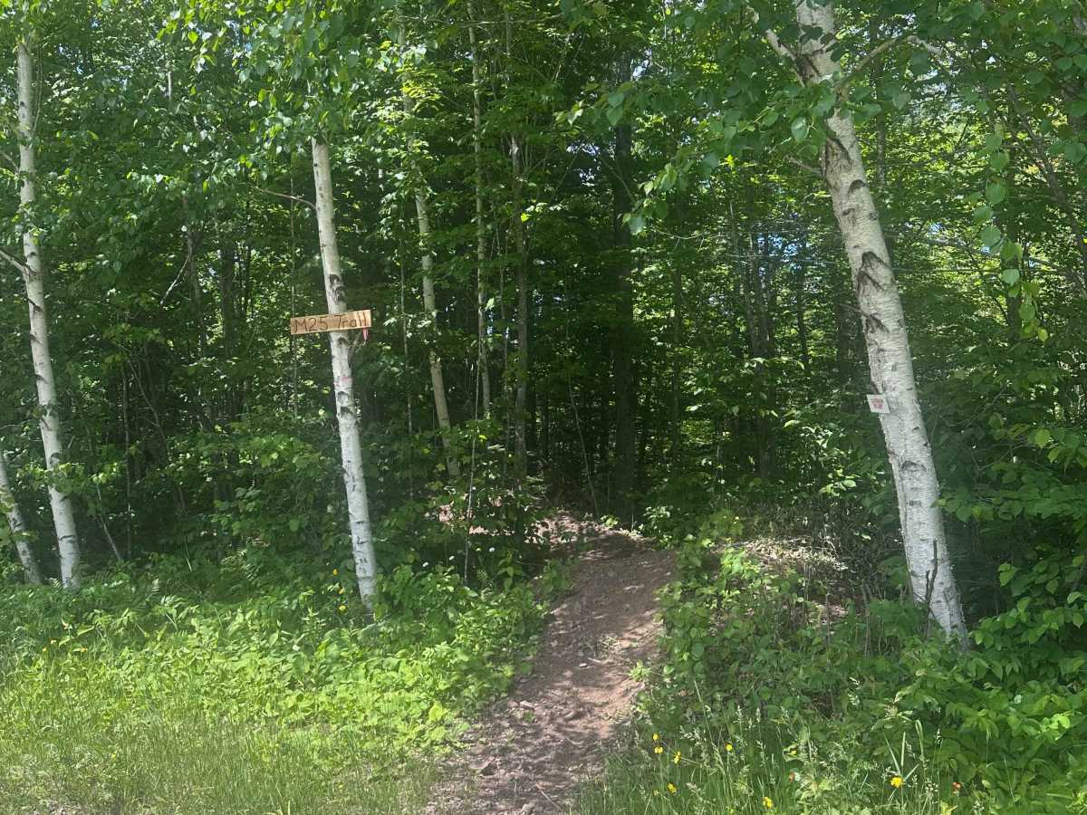 Parliament (M25 Access Trail) trail photo
