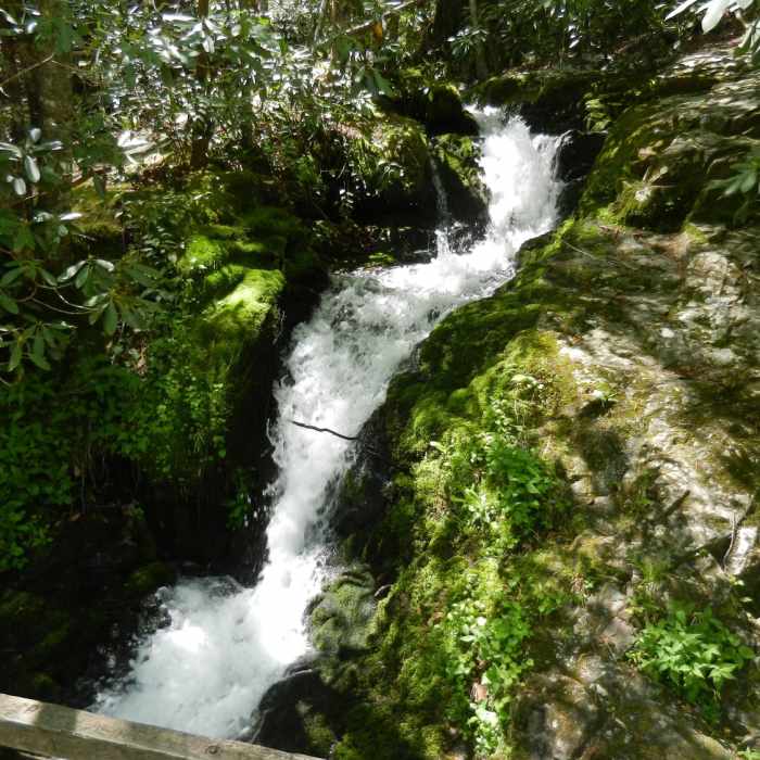 Huskey Branch Falls tumbles under the footbridge into Little River. Near Jakes Creek AT Loop