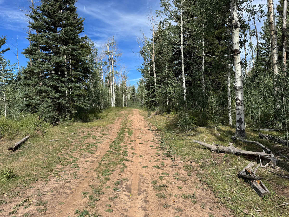 Pipe Creek Road Spur photo 3