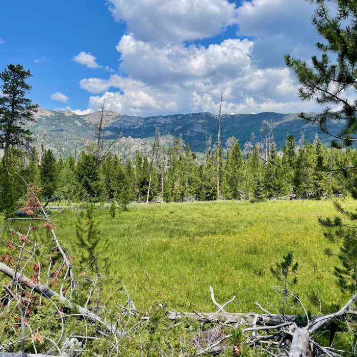 Near Continental Divide Trail: Wyoming Section 11