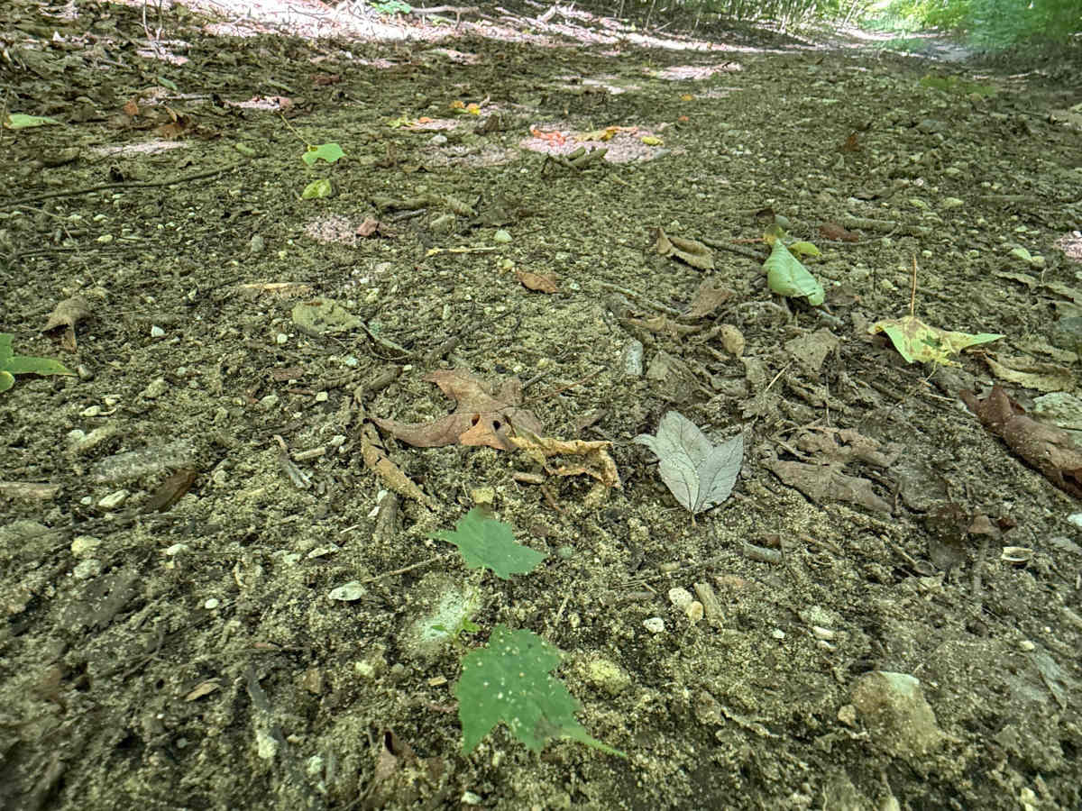 Lumley-Glovers Trail photo 2
