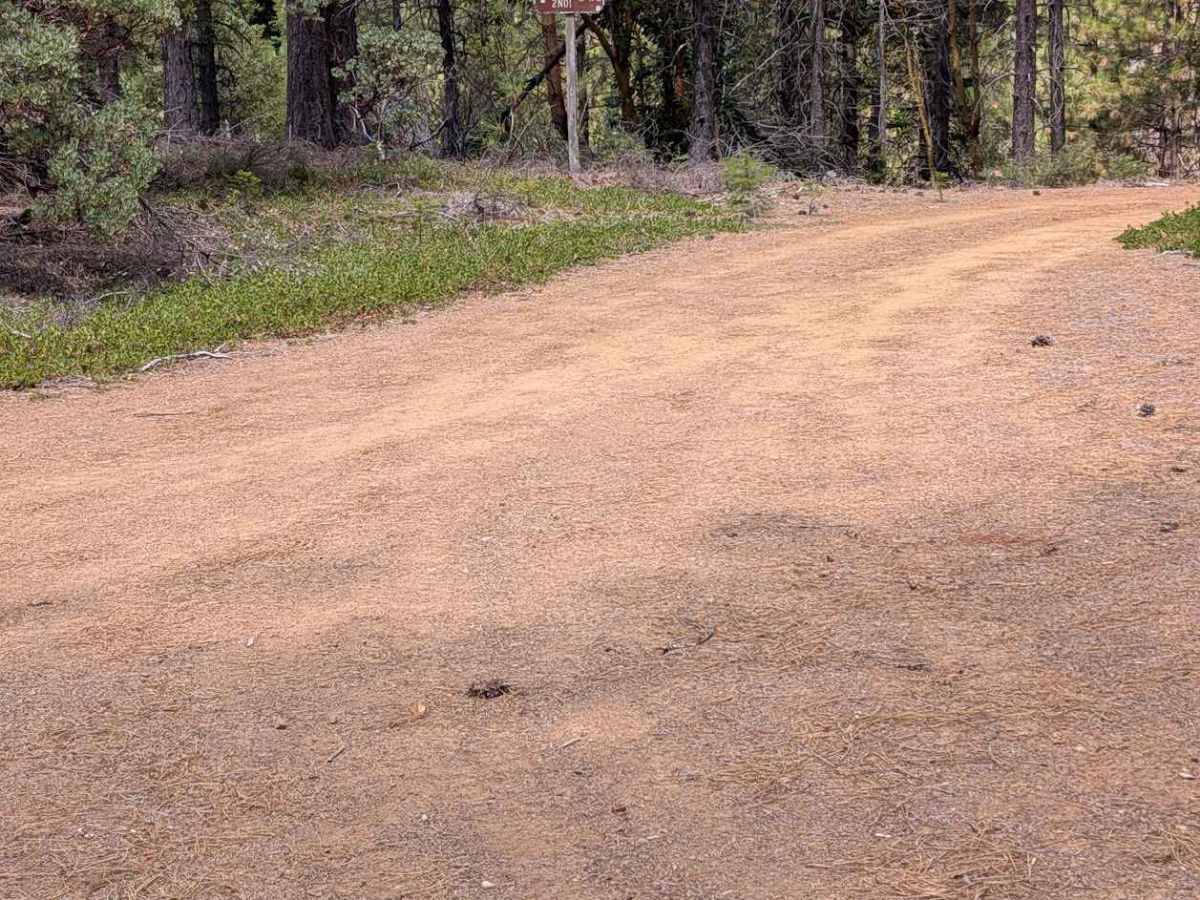 Lost Road - FS 2N46 trail photo