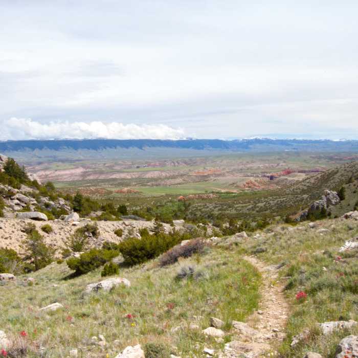 Near Upper Layout Creek Trail