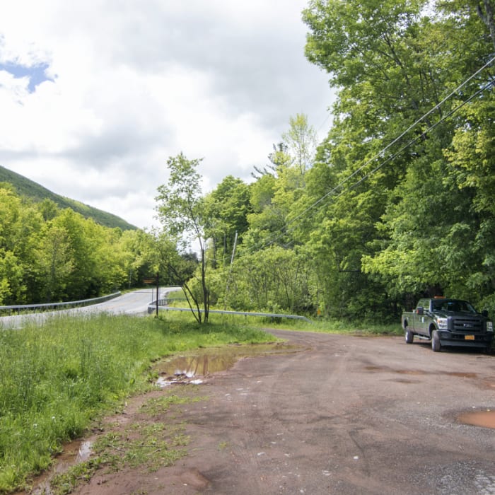 Near Becker Hollow to Hunter Fire Tower