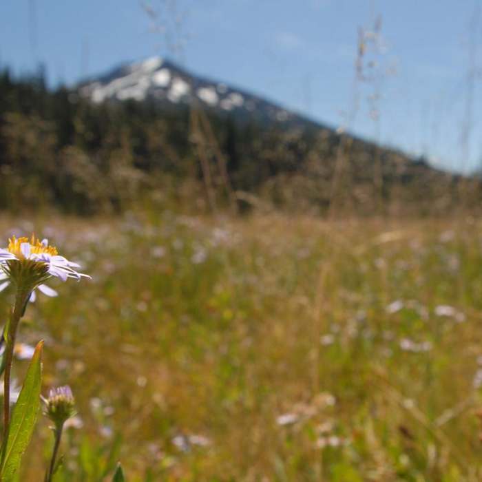 Near Todd Lake Hike