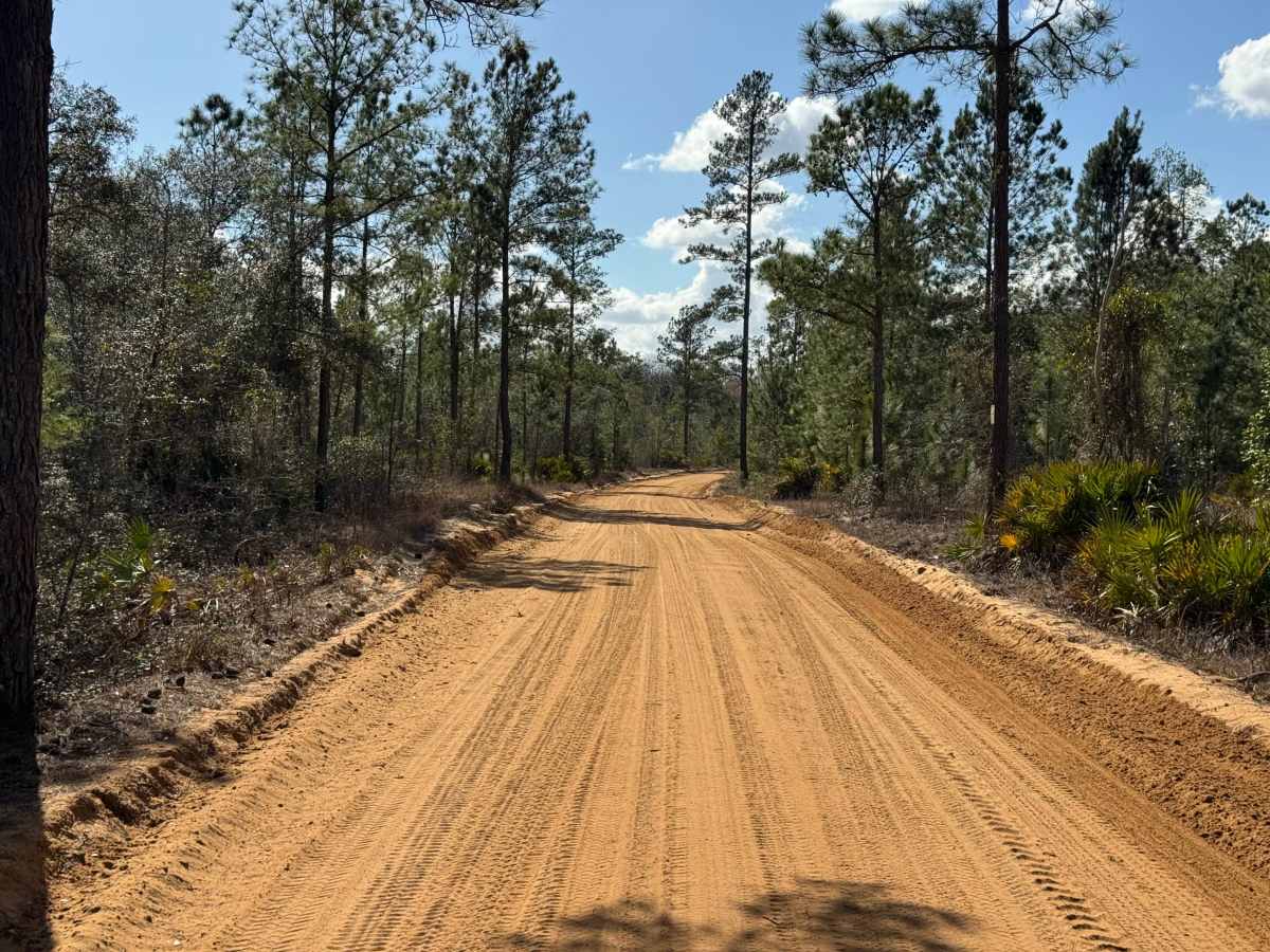 Middleton Lake Road photo 4