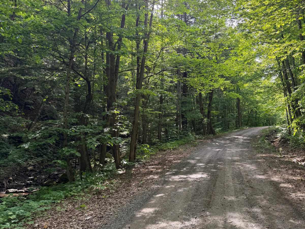 Morgan Gulf Road photo 6