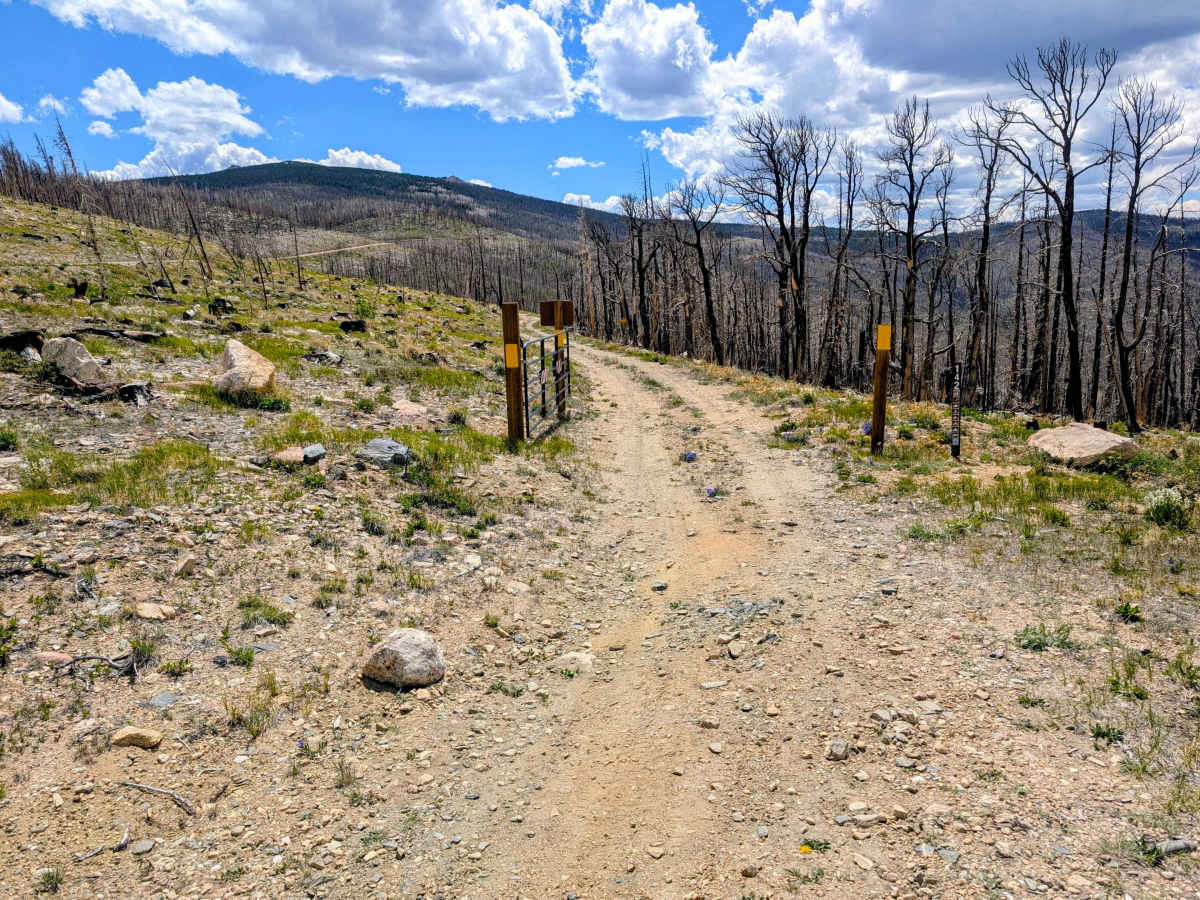 Black Hollow Road - FS 142 trail photo