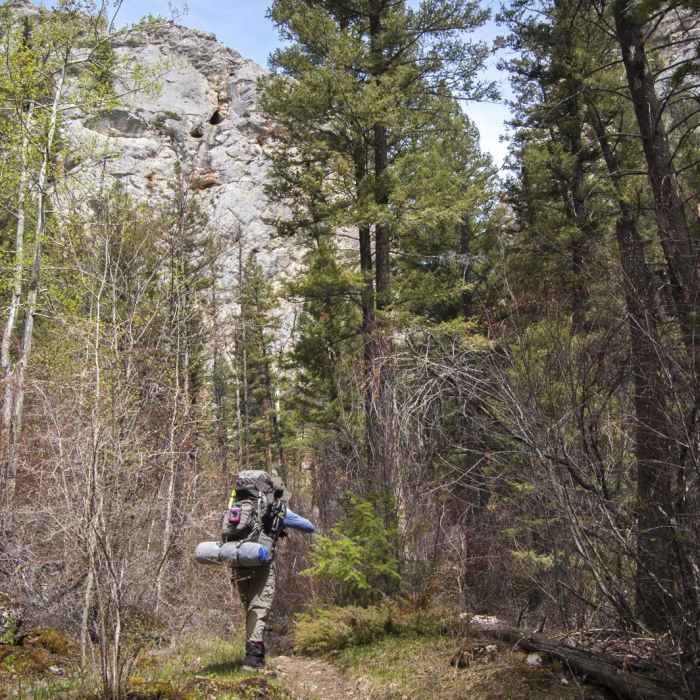 Near Refrigerator Canyon Trail