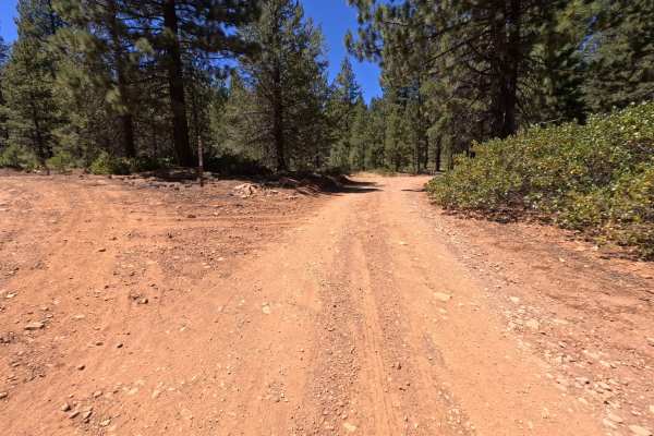 Sagehen Hills - FS 0089-036