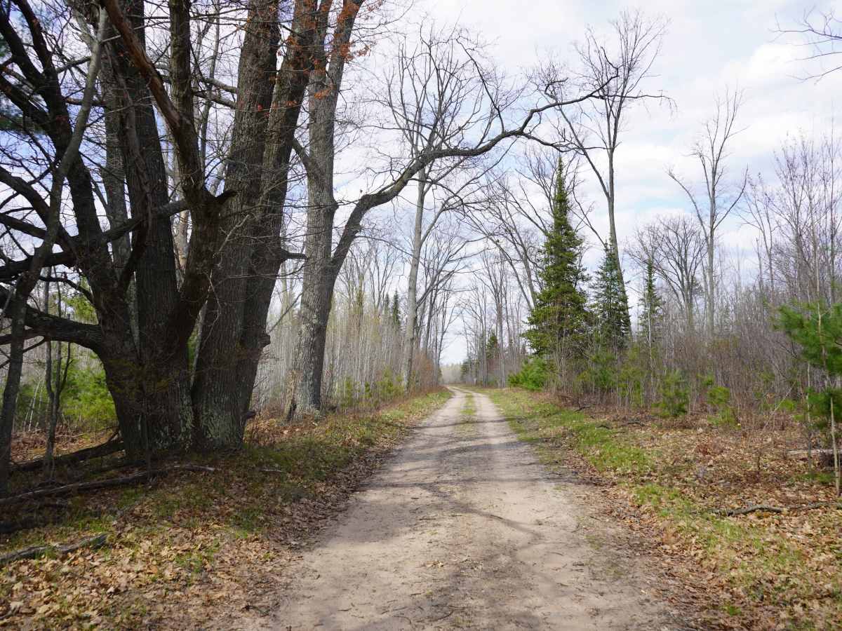 Maybee-Robinson Lake Road photo 3