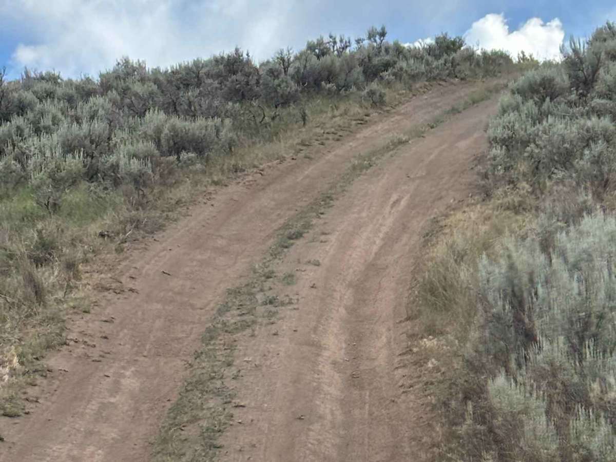 BLM 8465 photo 4