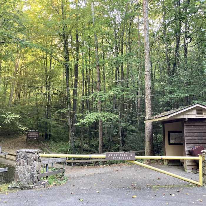 Near Debord + Emory Gap Falls Near Debord + Emory Gap Falls