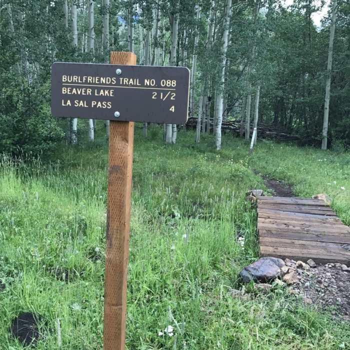 Near South Mountain Trail