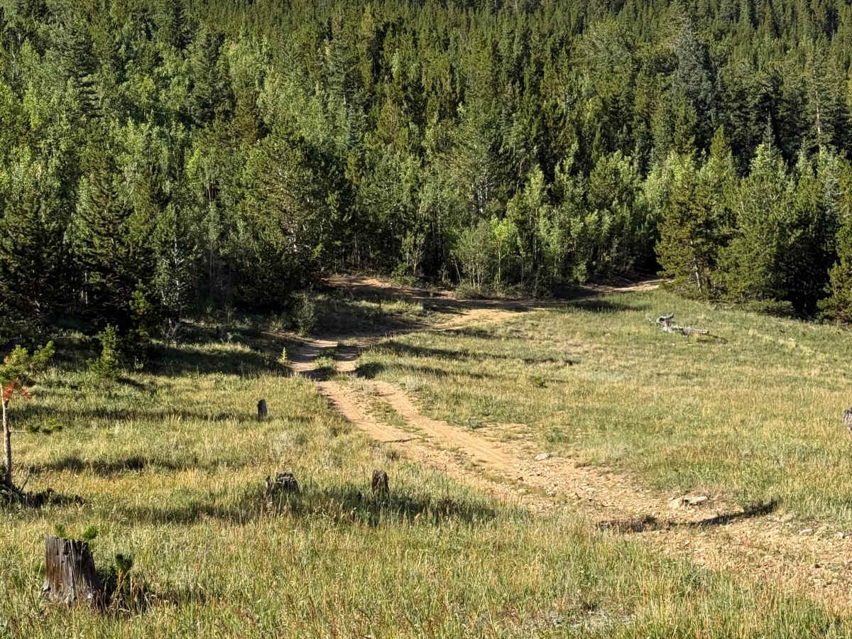 Devils Canyon Spur - FS 2461B photo 3