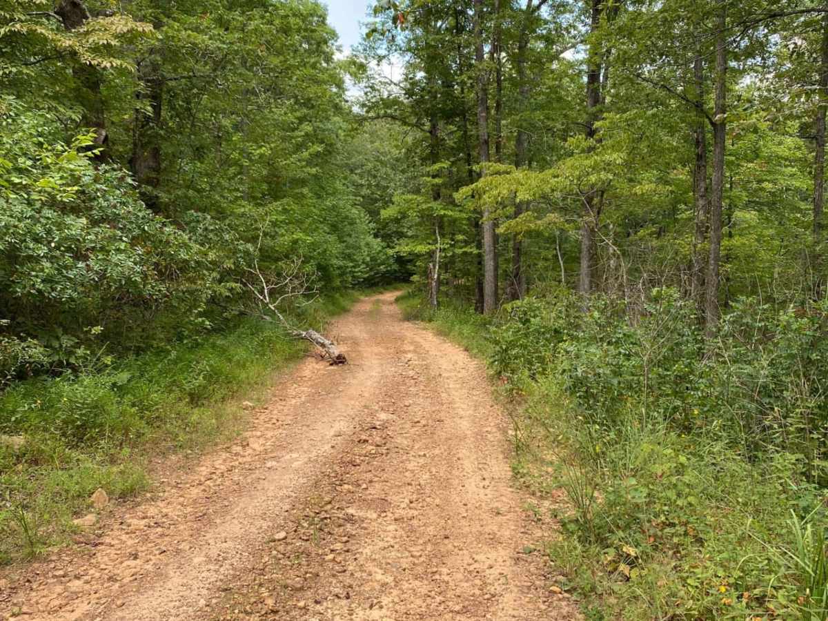 Wolf Ridge photo 2