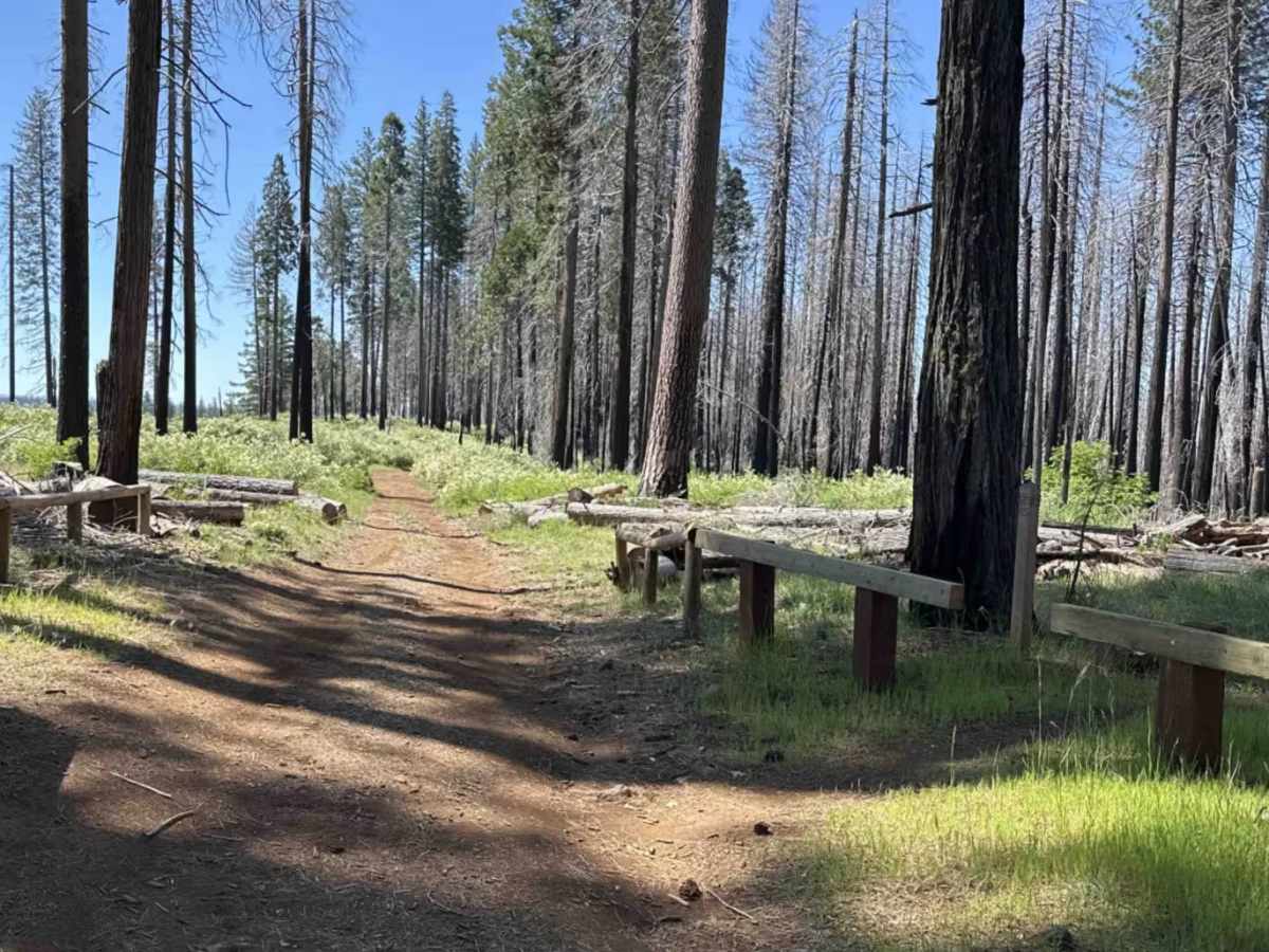 Grouse Creek Jeep Trail - FS 12E23 photo 2