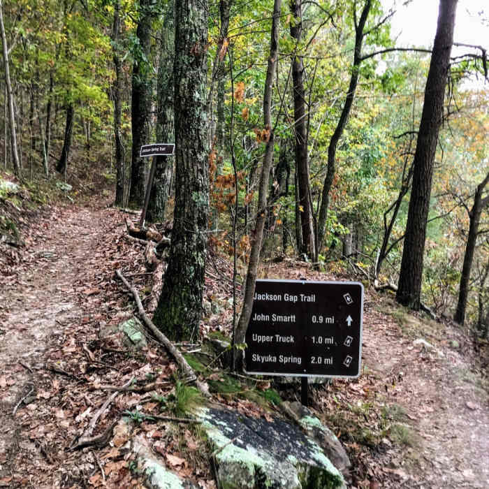 Near John Smartt Trail