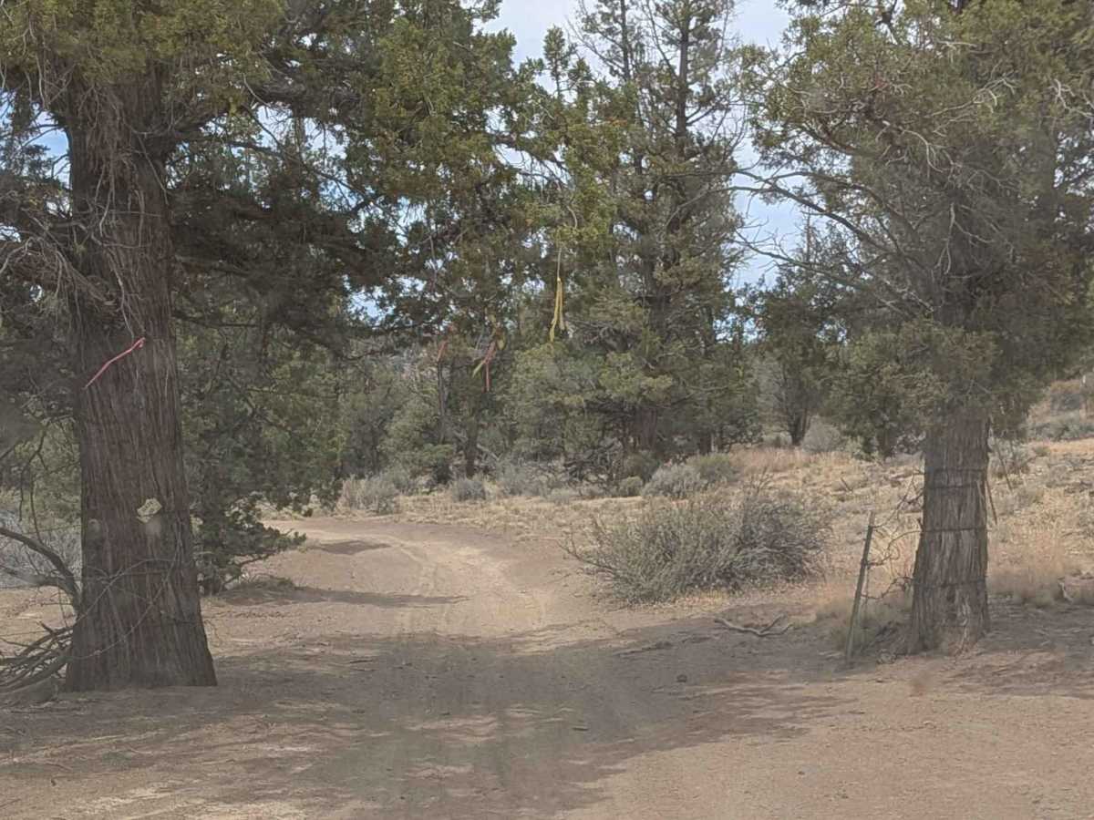 Cline Buttes OHV Trail 21 photo 5