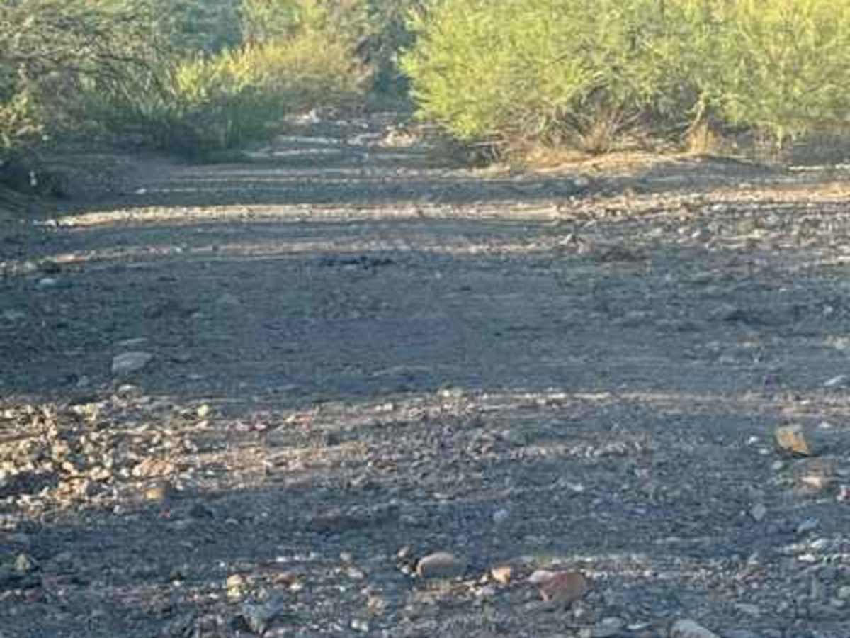 31098 trail photo