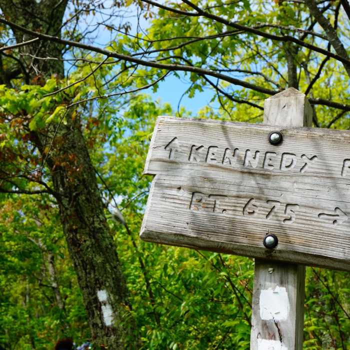 Near Kennedy Peak Out-and-Back