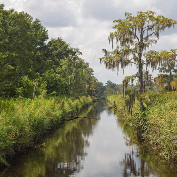 Near JF Gregory Wetlands Loop Near JF Gregory Wetlands Loop