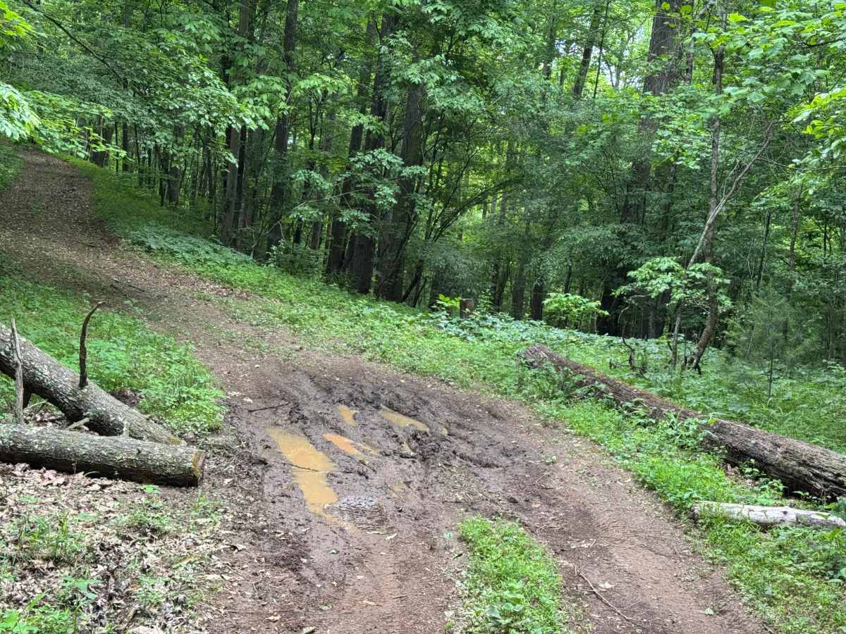 Headtown Creek - FS 656 photo 6