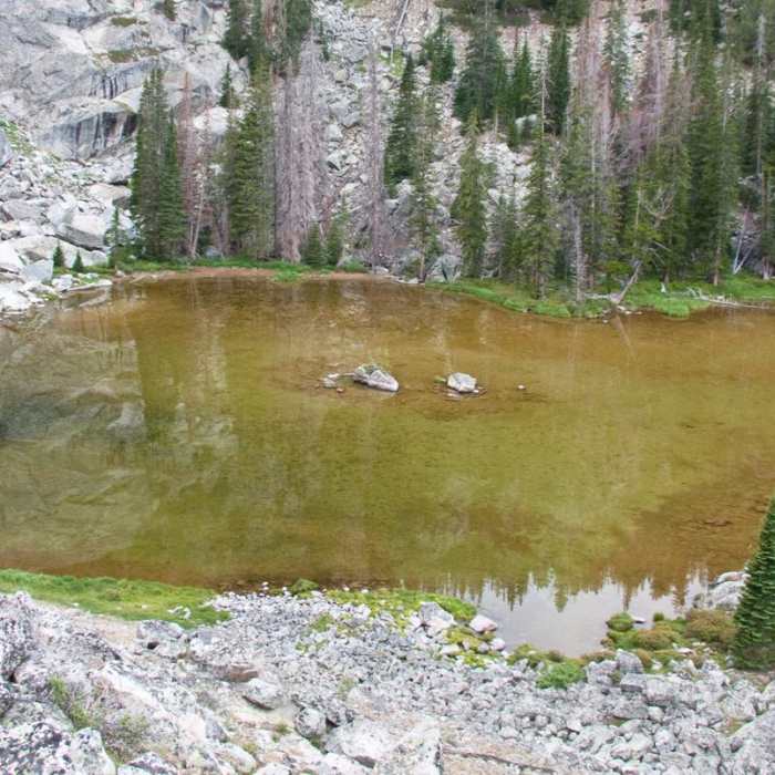 Near Fall Creek - Moose Lake