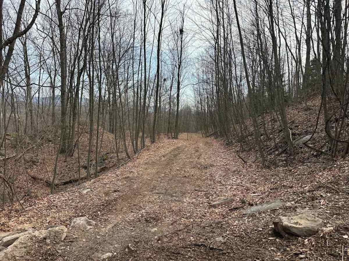ATV Trail 80 photo 2