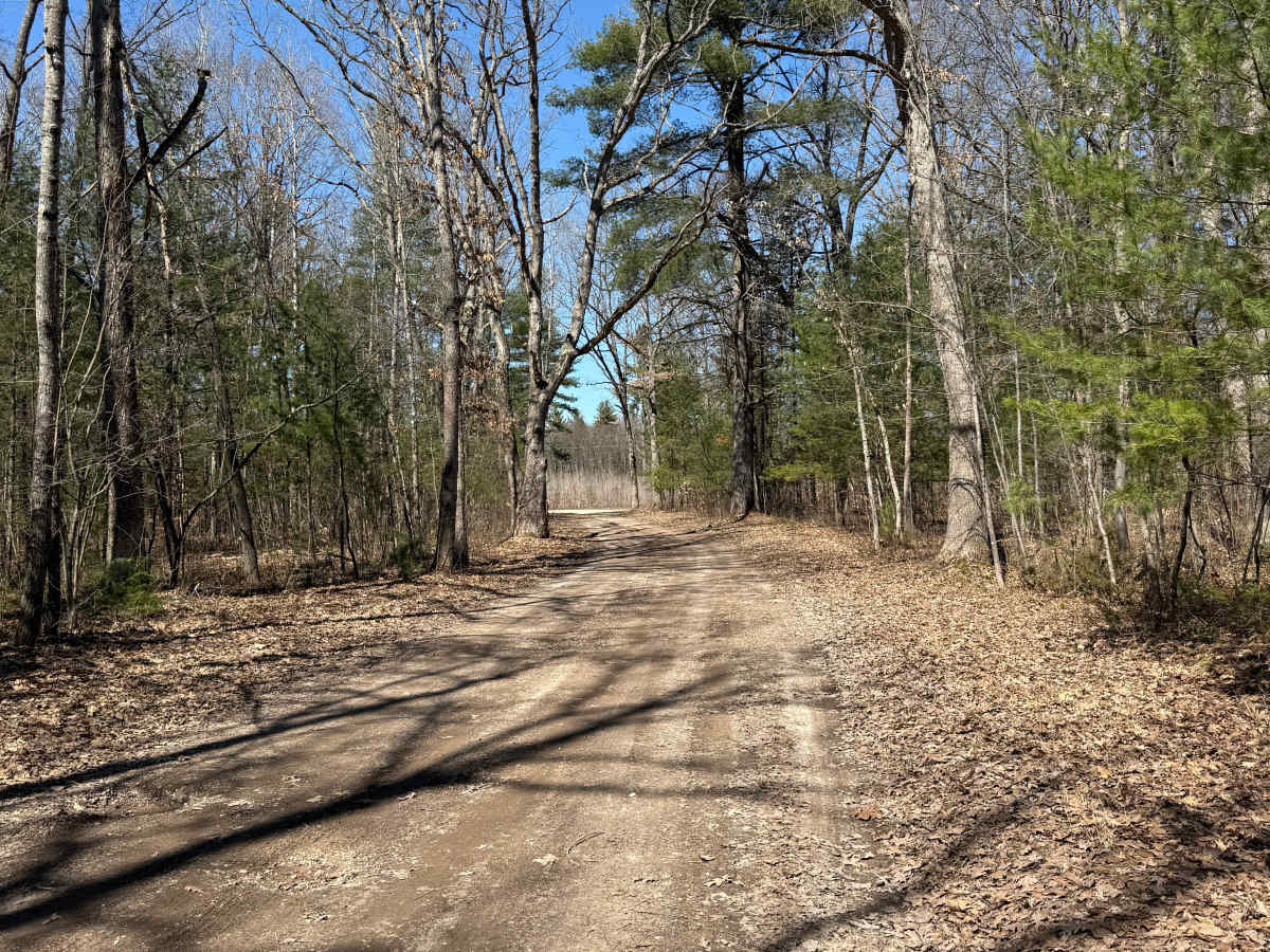 FS 5555 trail photo