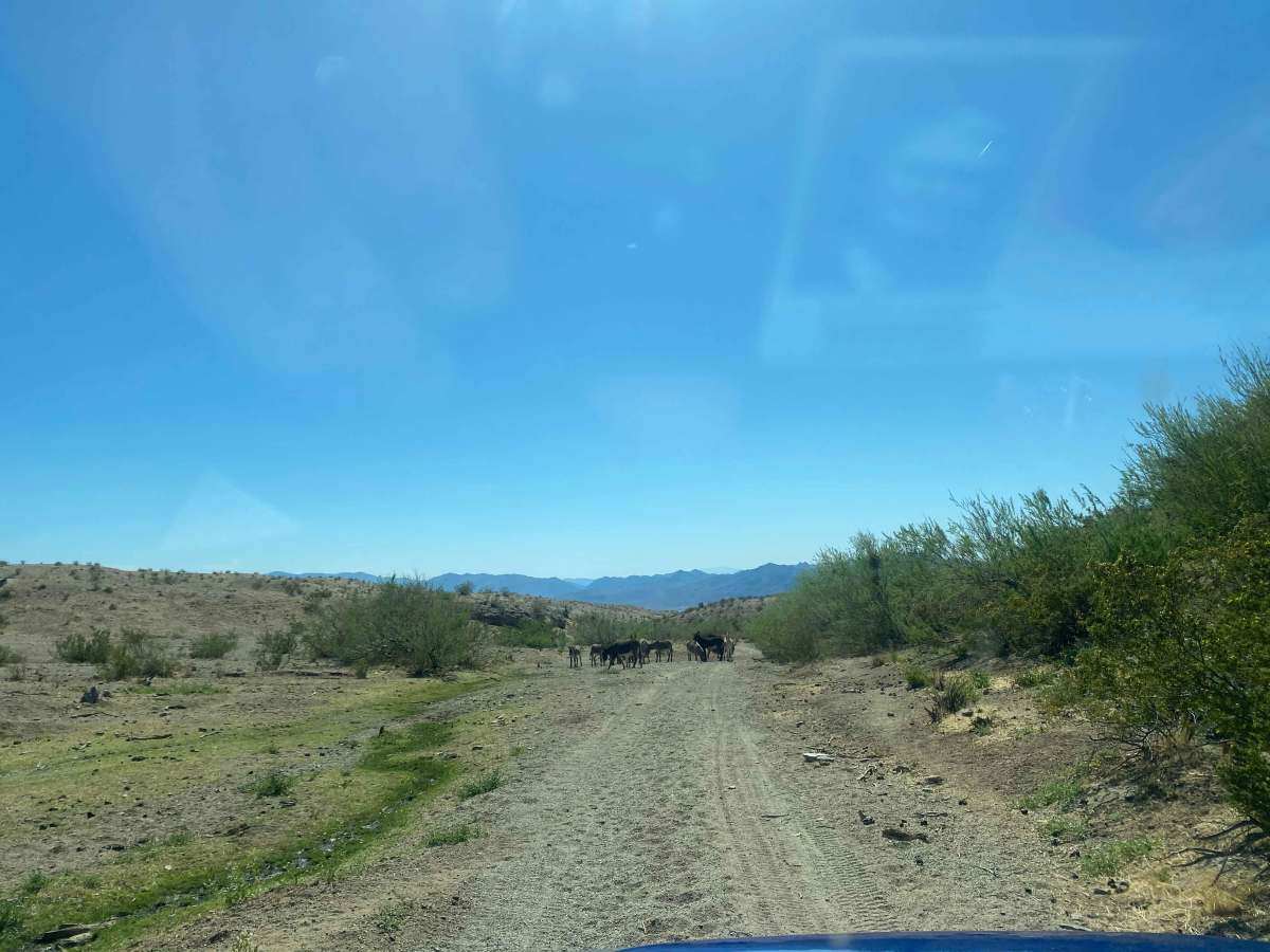 Witney to Lake Mead photo 2