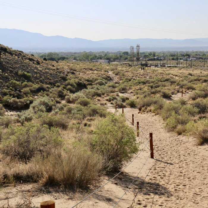 Near Rinconada Canyon Trail
