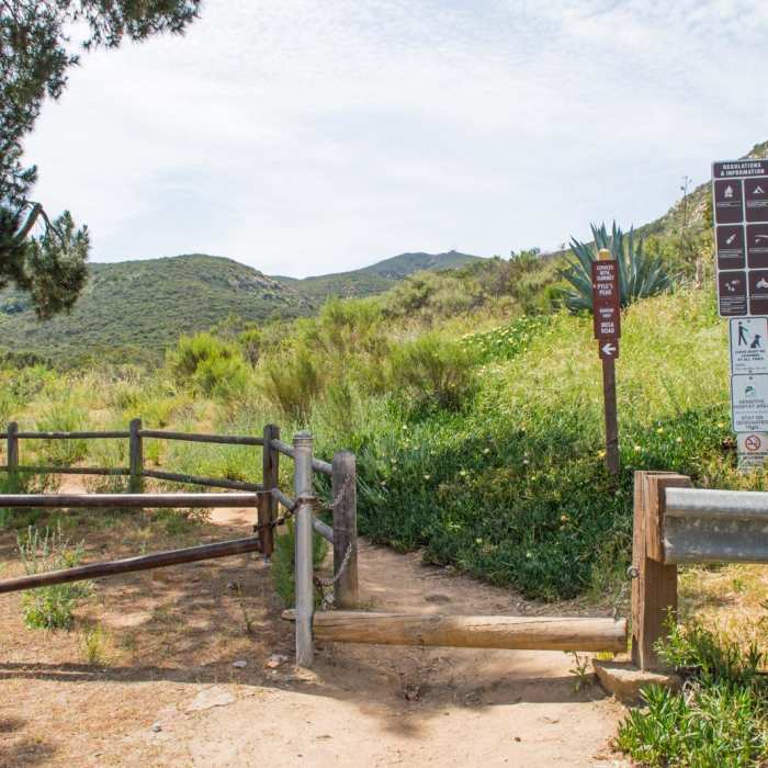 Near Cowles Mountain via Big Rock Trail