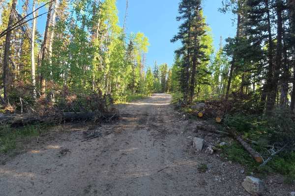 Green Ridge Road